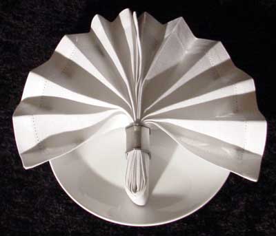 The Napkin Ring Fan Fold