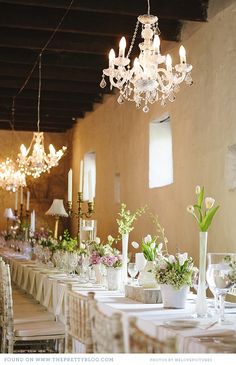 Table Arrangements & Venue Decorations