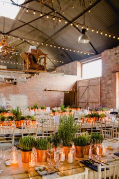 Table Arrangements & Venue Decorations
